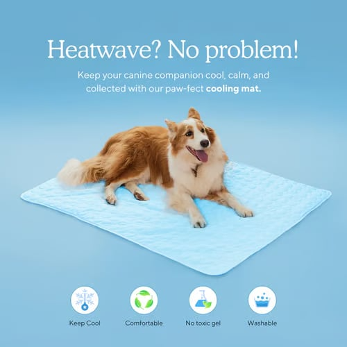 🔥Hot Sale 49% OFF - Dog Cooling Mat (4x more effective)